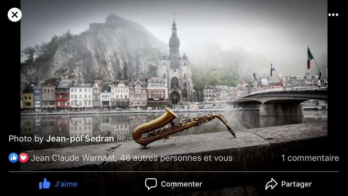 Hotel Les Voisins De Mr Sax Dinant Esterno foto